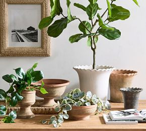 Palermo Planters | Pottery Barn CA