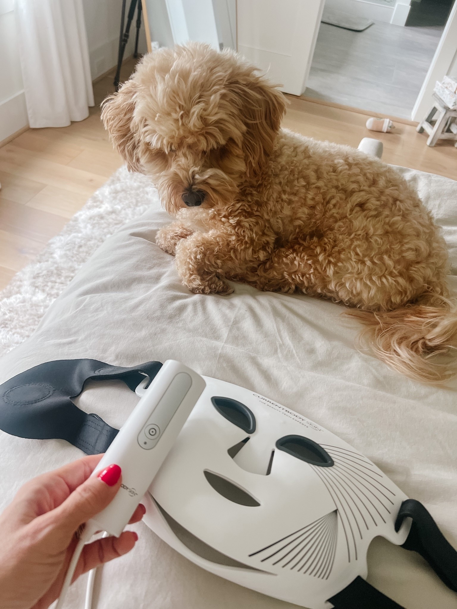 The Current Body Skin LED Light Therapy Mask 

Use my discount code for : HONEYCB for 10% off!!! 

#LTKdayinmylife #LTKgrwm #LTKBeauty