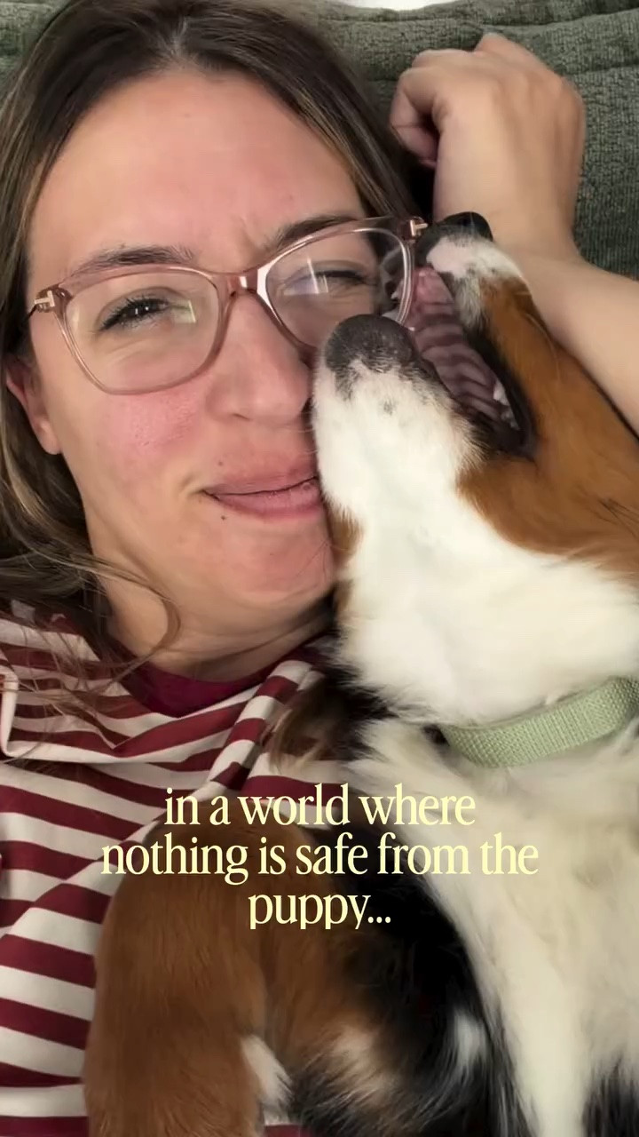Living with a puppy means nothing is ever truly safe… not shoes, not blankets, and apparently not my glasses either 😅

So I finally stopped leaving them scattered around the house and gave them a proper spot instead.

This little eyewear organizer has genuinely made getting ready easier because I can actually see all my pairs at once instead of playing “where did I leave them this time?” every morning.

Meanwhile Ash is still acting like everything I own is community property 🐶

Follow @styledwithpaws for more cozy dog mom finds 🤍

#lolaletorganized #lolalet #LoveMyLolalet