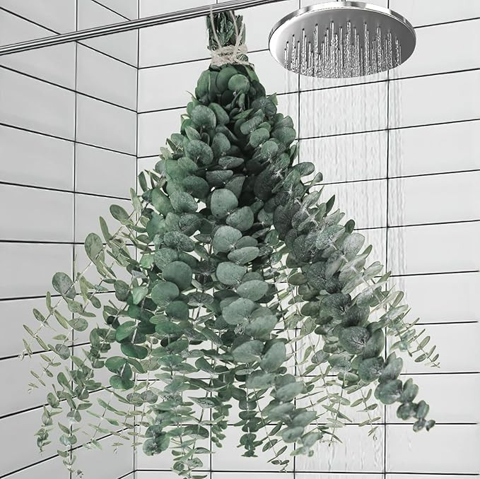 11 PCS Real Dried Eucalyptus for Shower & Bathroom Decor - 17'' Large Natural Fresh Eucalyptus Le... | Amazon (US)