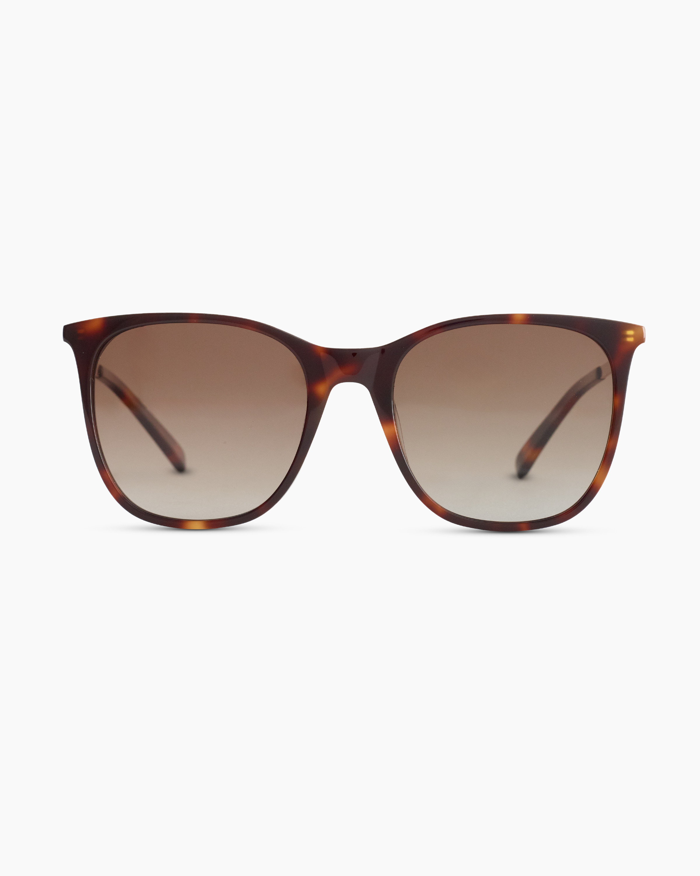 Poppy Polarized Acetate Sunglasses | Quince
