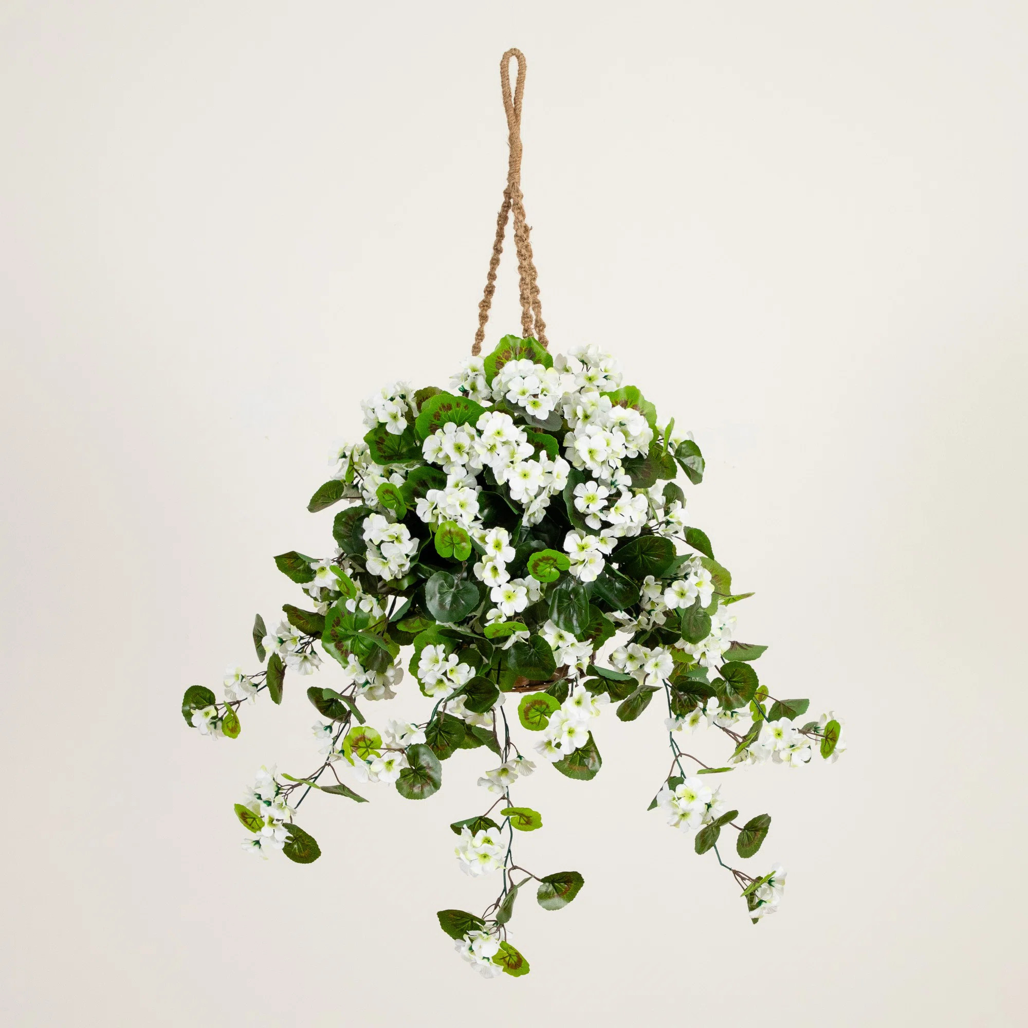 Geranium Hanging Basket UV Resistant (Indoor/Outdoor) | Birch Lane