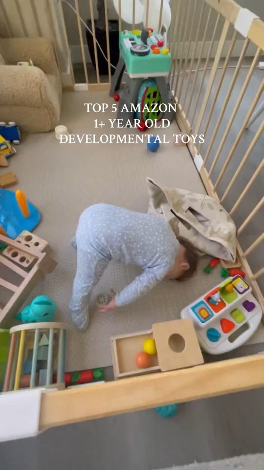 Top 5 Amazon 1+ Year Old Developmental Toys

#LTKKids #LTKHome #LTKBaby