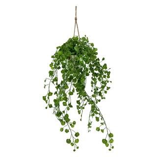 17.5" Green Gingko Hanging Arrangement in Container by Ashland® | Michaels Stores