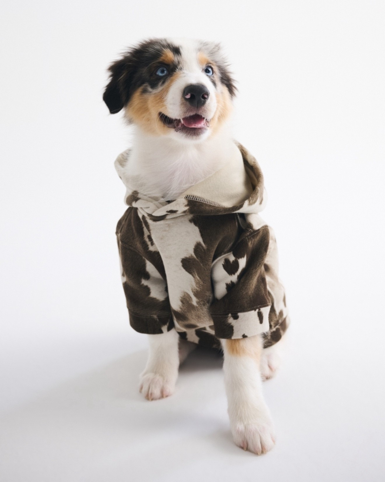 The cutest pet hoodie from Abercrombie!

#LTKPets #LTKSeasonal #LTKActive