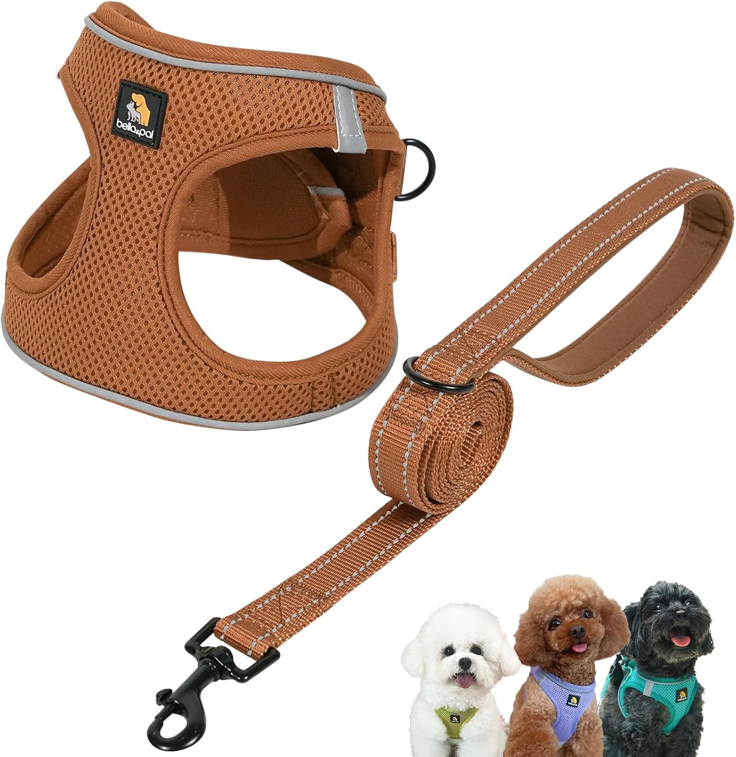 Step in Puppy Harness and Leash Set (Mokka, XS) | Amazon (US)