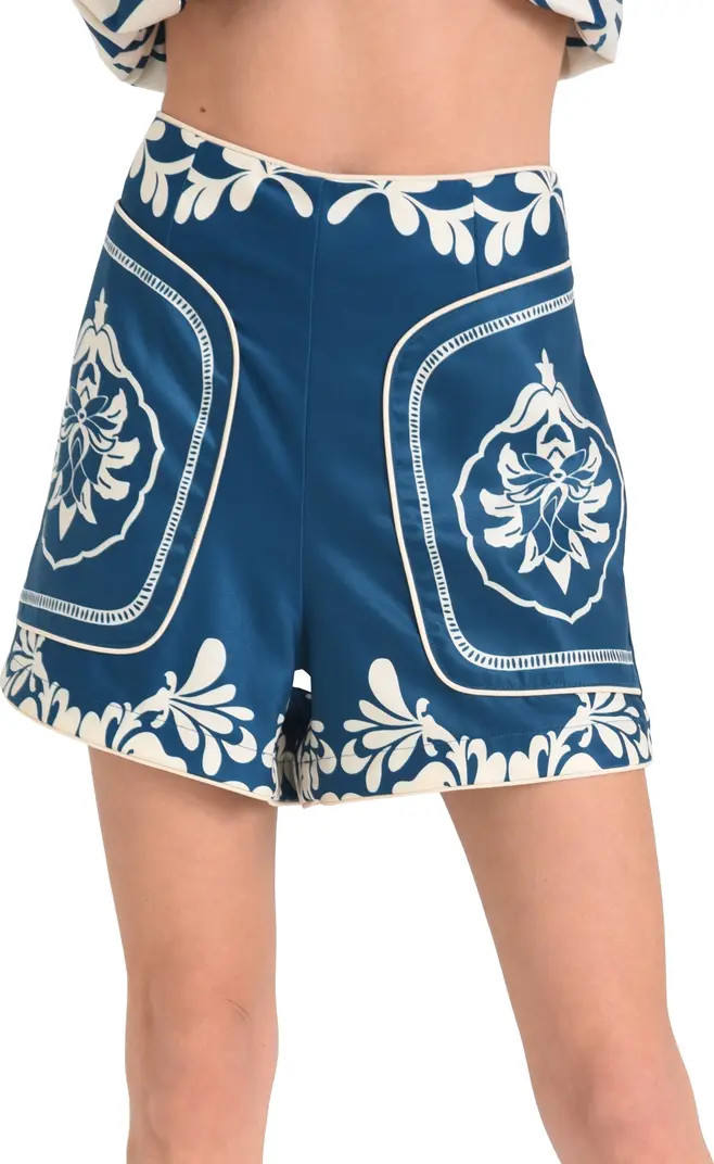 Marshelle Print Shorts | Nordstrom