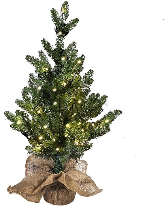 MorTime 24 Inch Mini Artificial Christmas Tree with 50 LED Lights, 2 ft Table Top Christmas Pine ... | Amazon (US)