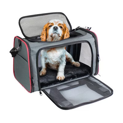 Soft-Sided Airline-Approved Travel Dog & Cat Carrier, Red,19'' | Target
