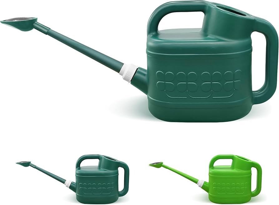 2 Gallon Watering Can for Outdoor Plants with Removable Long Spout and Stainless Steel Sprinkler ... | Amazon (US)