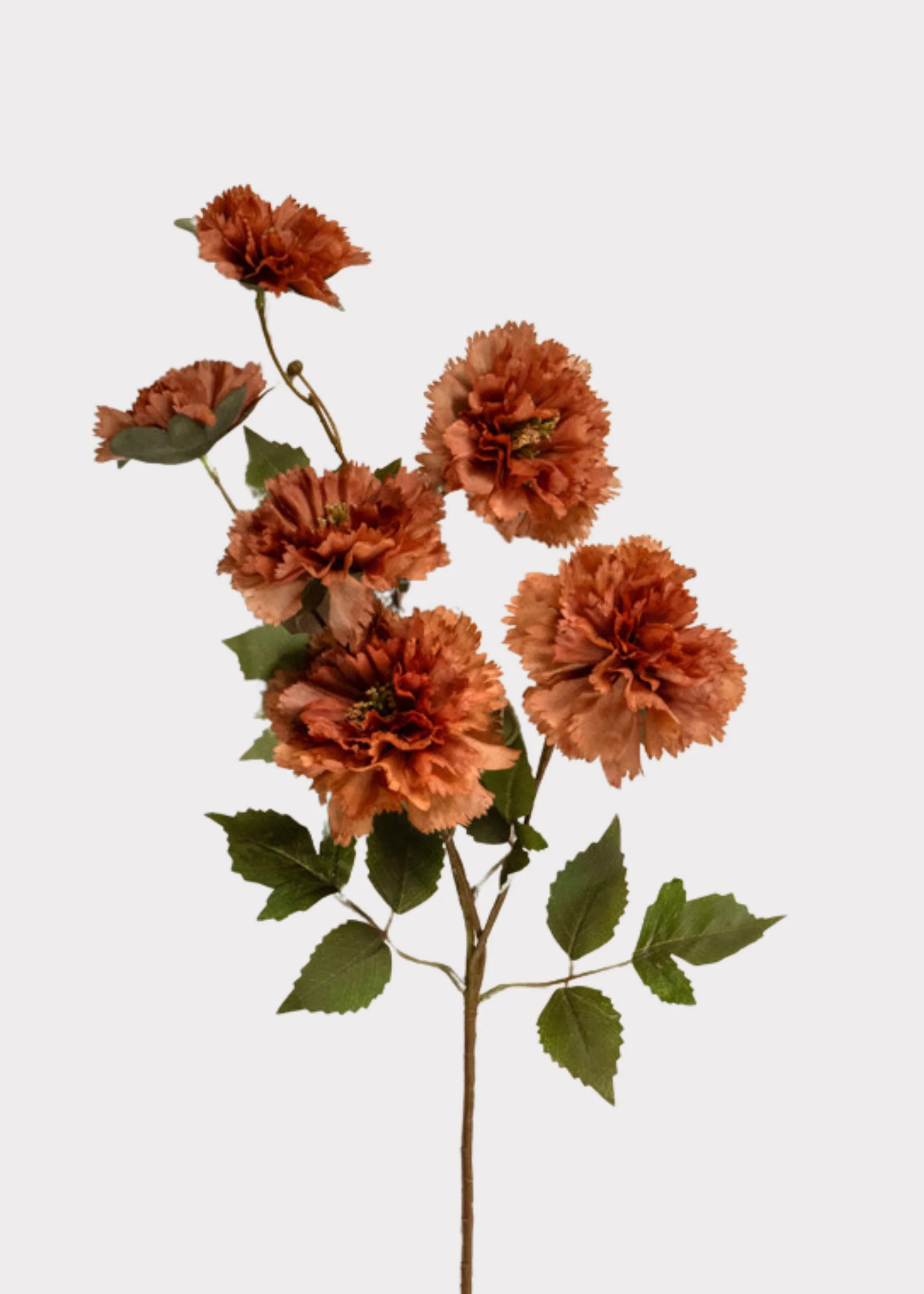 Artificial Carnation Flowers in Autumn Brown - 30.5" | Afloral