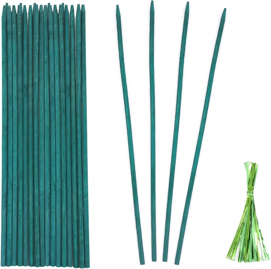 Green Bamboo Plant Stakes, Plant Sticks Support for Indoor and Outdoor Plants, Garden Wood Sturdy... | Amazon (US)