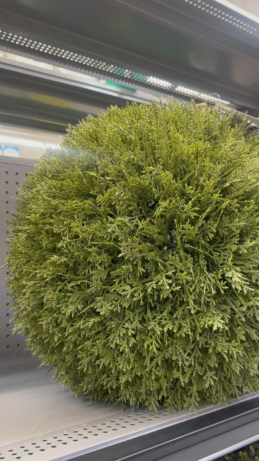 Real looking evergreen yard decor 
My Texas House 
Walmart find 
Patio decor 


#LTKHome