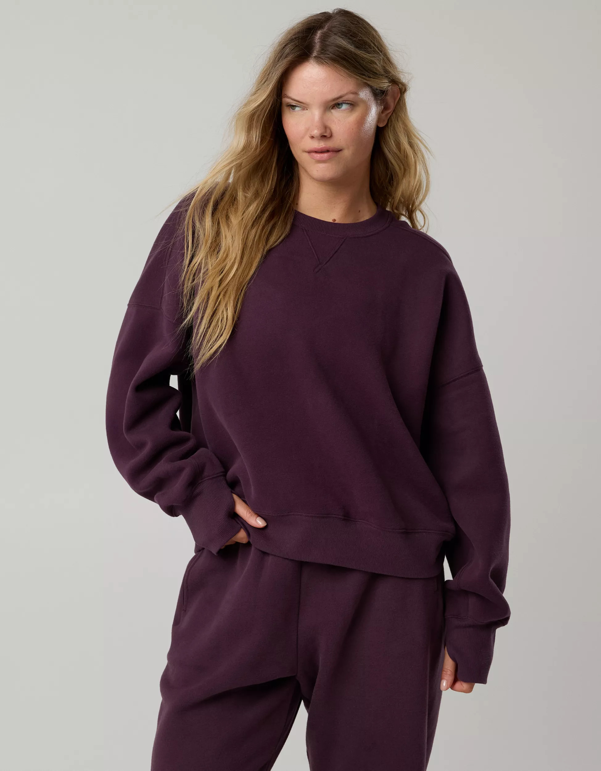 OFFLINE By Aerie Cloud Fleece Classic Crewneck | Aerie