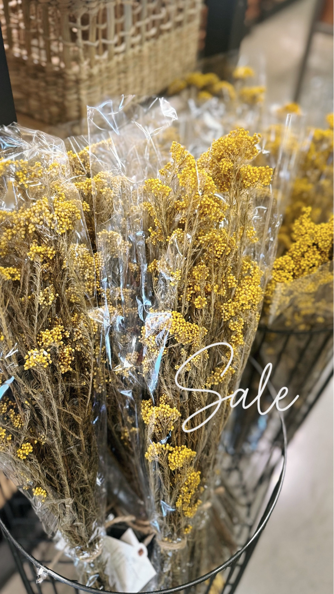 Rice flower fall stem bundle! 

Target, fall stems, floral 

#LTKFallSale #LTKSaleAlert