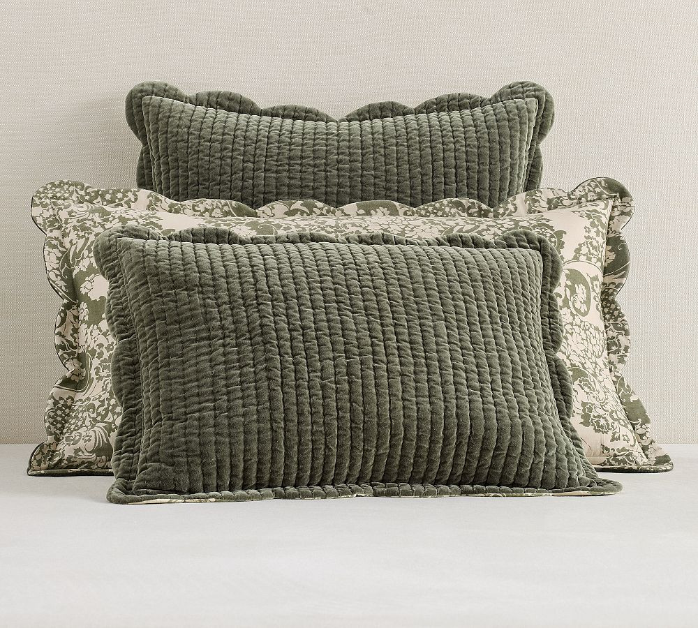 Velvet Scalloped Edge Reversible Quilted Sham | Pottery Barn (US)