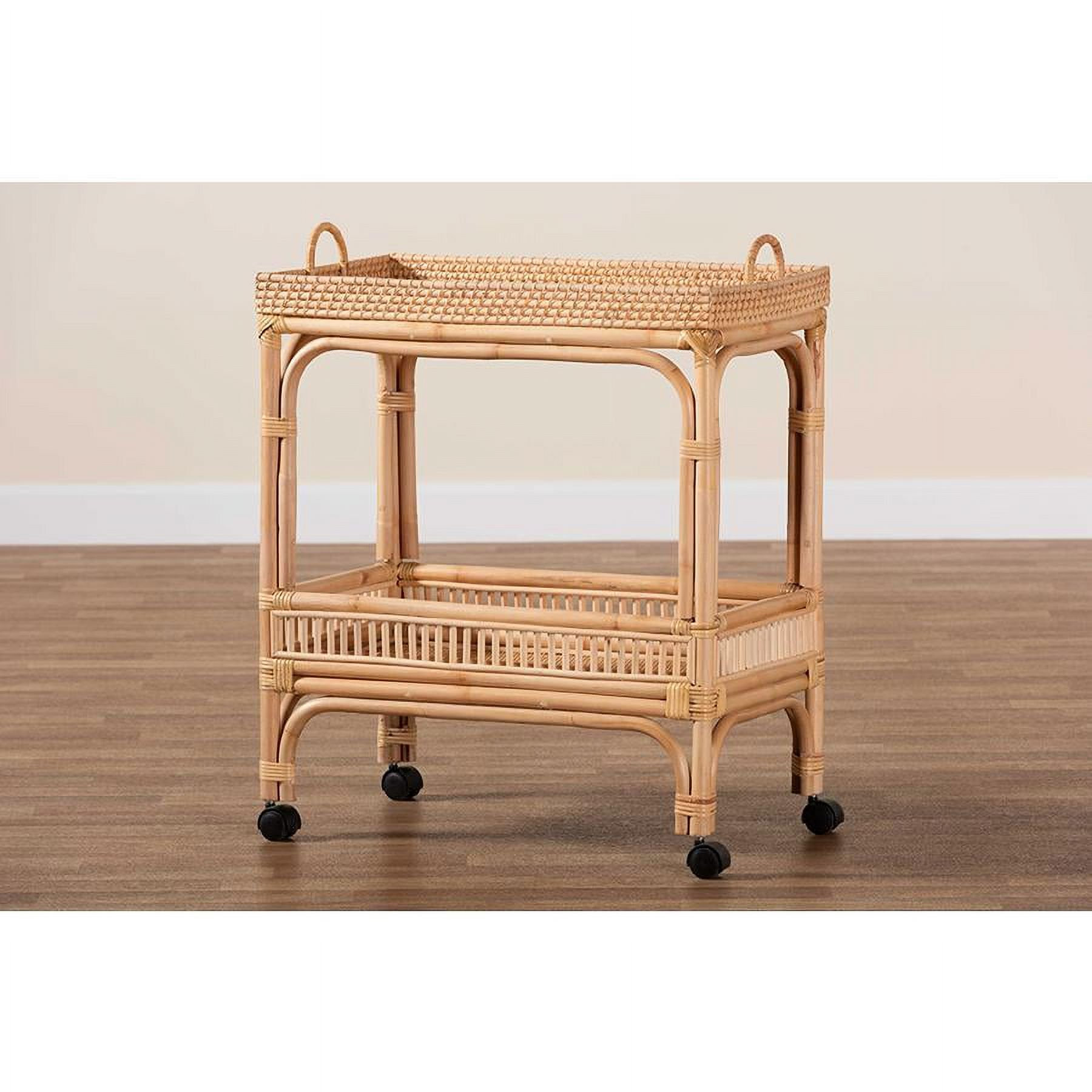 bali & pari Lombok 1-Shelf Modern Rattan & Wood Wine Cart in Natural Brown | Walmart (US)
