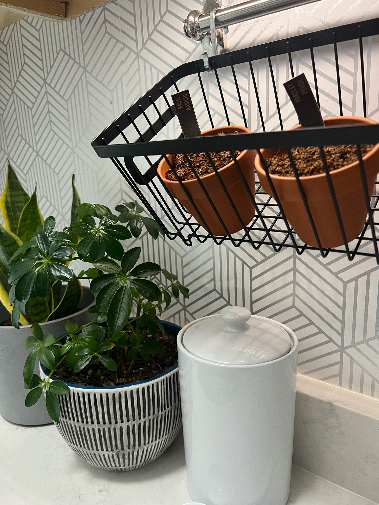 Pantry Storage options galore! There’s never a wrong time to organize and make your pantry look good. Check out my favorites for getting that clean and cohesive look in the pantry.  

#LTKFind #LTKhome #LTKunder50