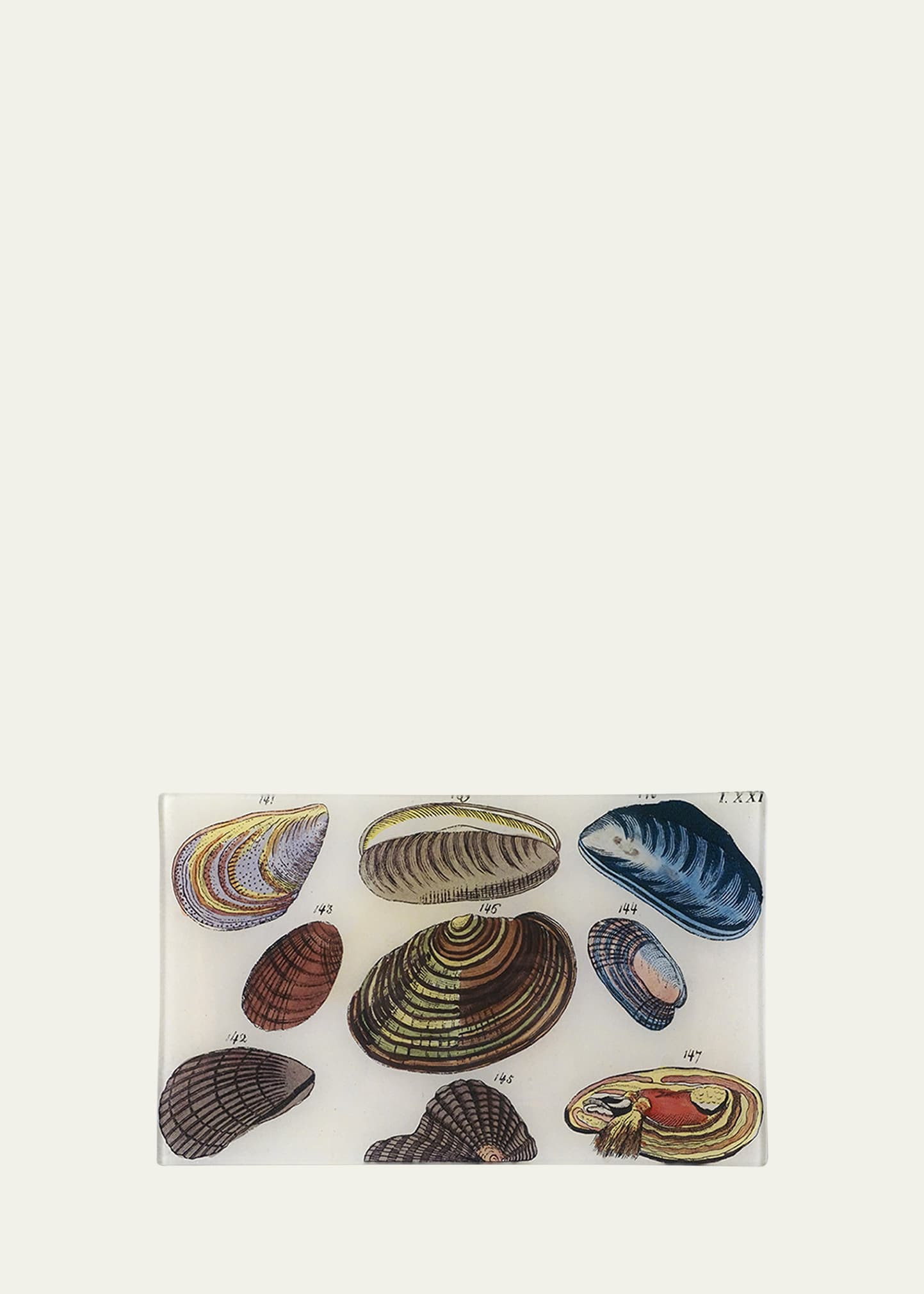 Clams Rectangular Tray | Bergdorf Goodman