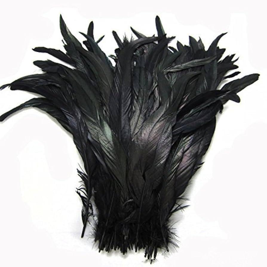 CENFRY Nature Rooster Coque Tails Feathers Costume Craft Decoration 12-14inch Pack of 25 (black) | Amazon (US)