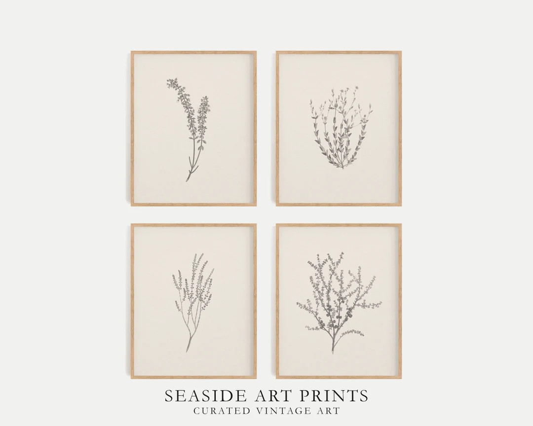 Vintage Botanical Drawing Art Print - Set of 4, Rustic Fern Sketch, Neutral Still Life Art, Moody... | Etsy (US)