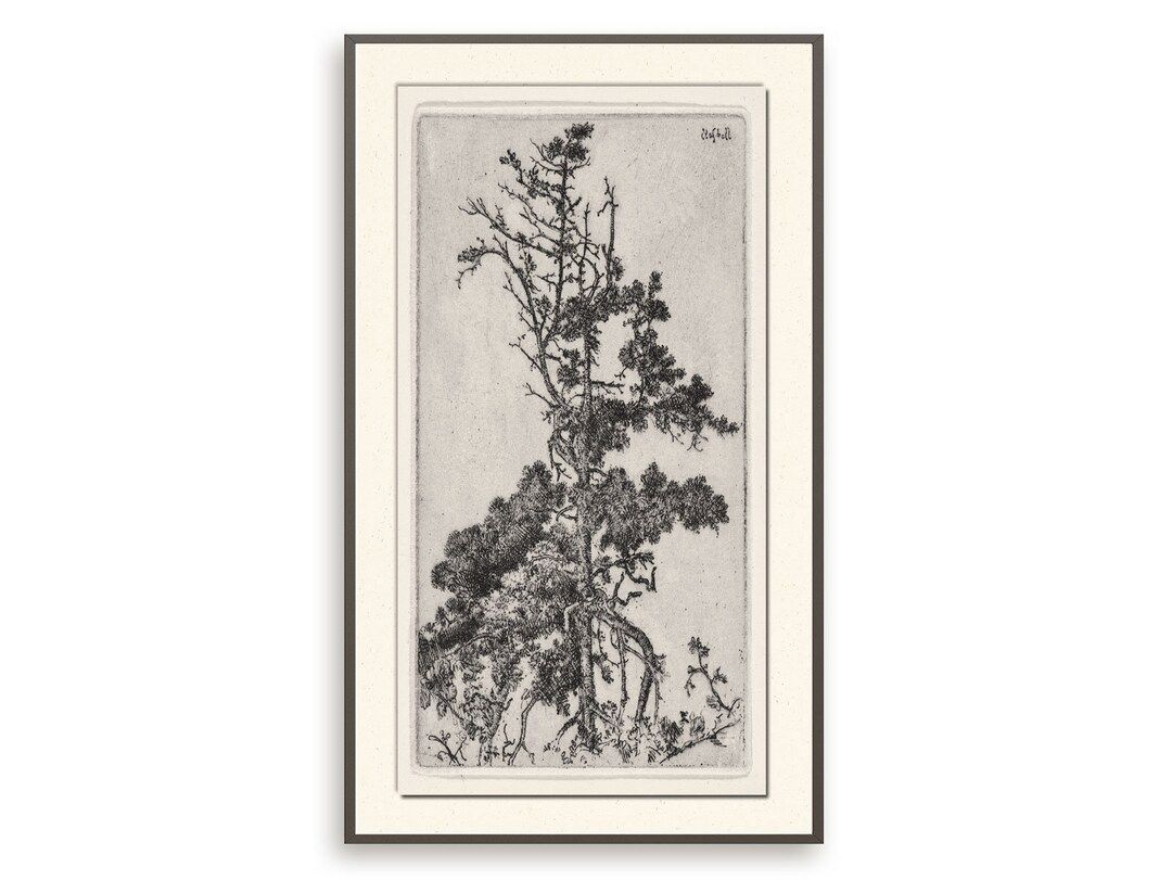 Vintage Tree Top Print Antique Botanical Wall Art Printable - Etsy | Etsy (US)