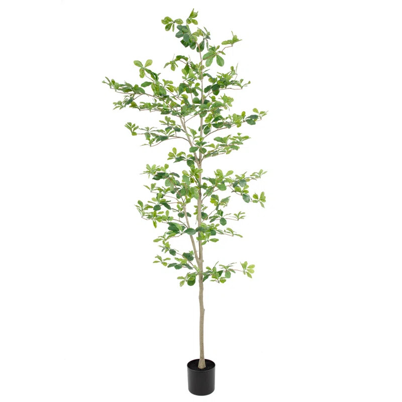 7ft Black Olive Tree with Realistic Leaves & Trunks for Home Office Patio Porch Room Decor | Wayfair North America