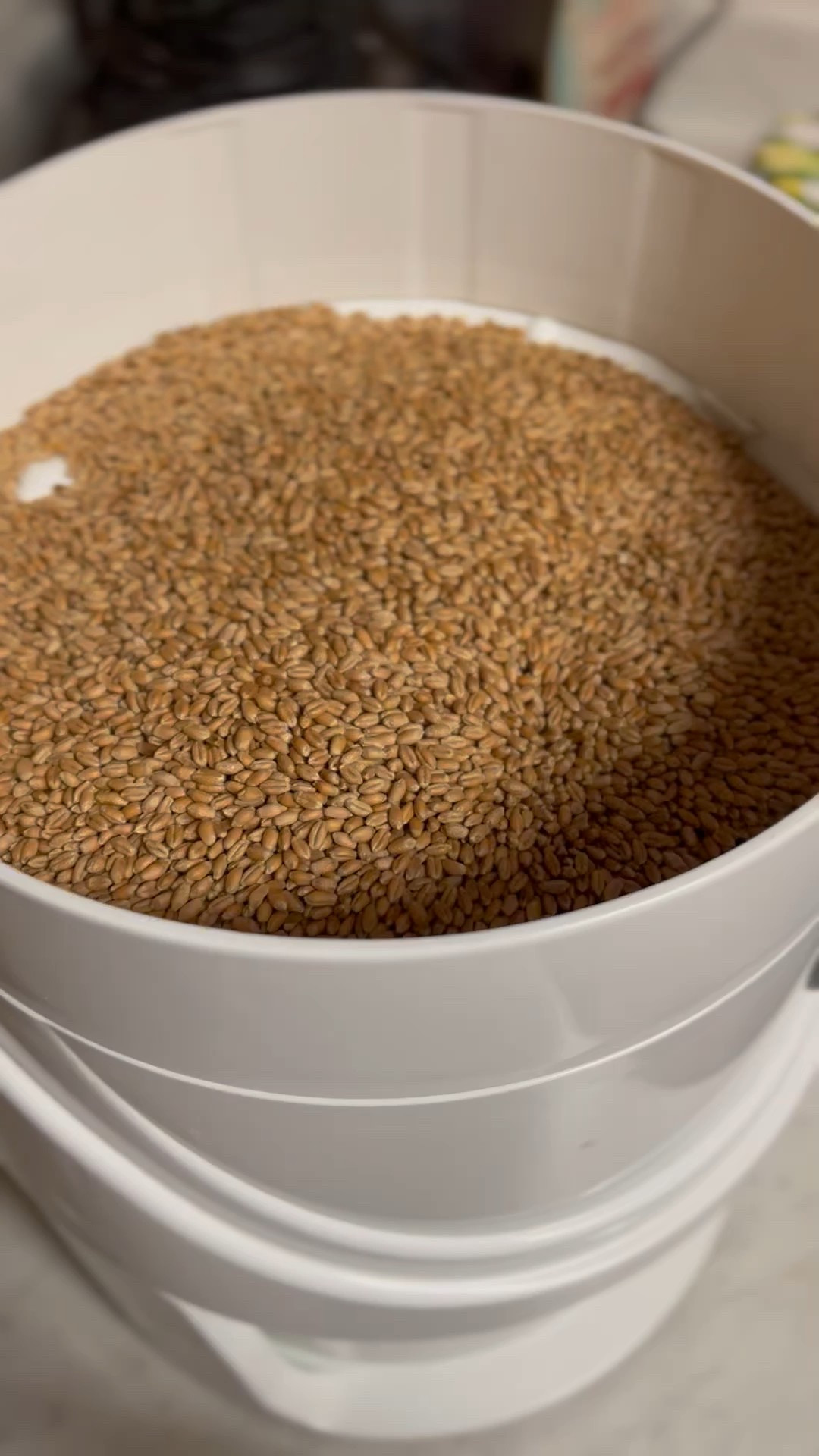 my NutriMill grain mill is back in stock! use affiliate code GRACEKRAEM20 to save $20

#LTKWatchNow #LTKHome