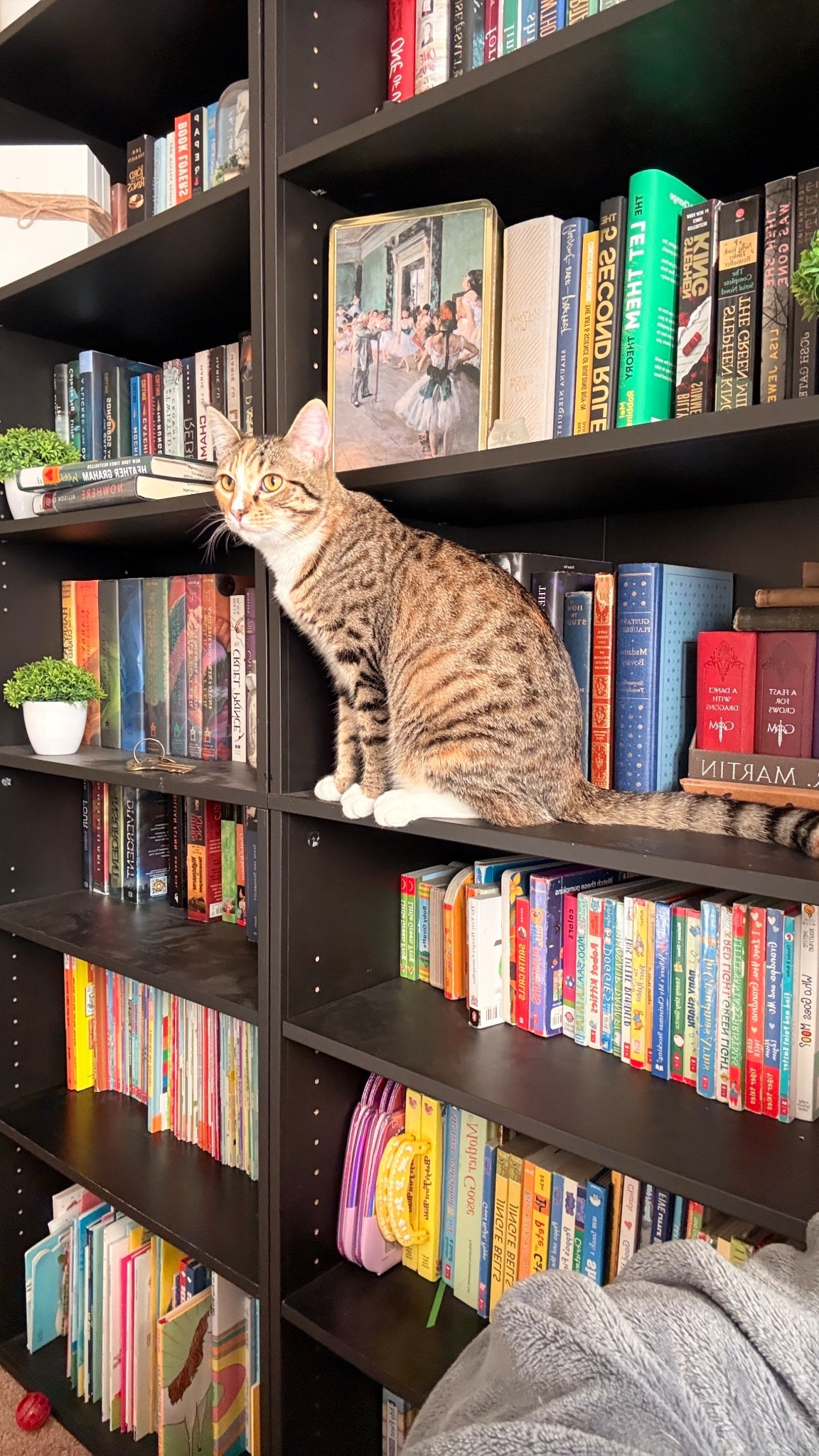 Let’s talk budget-friendly shelves that actually last 👏

I’ve had these for almost 2 years (and bought more than one set), and they’ve held up beautifully.
If you’re building a home library without spending a fortune...these are it 📚

#LTKHome #LTKmomlife #LTKSaleAlert
