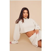 Oatmeal Turtle Neck Knitted Crop Jumper | PrettyLittleThing UK
