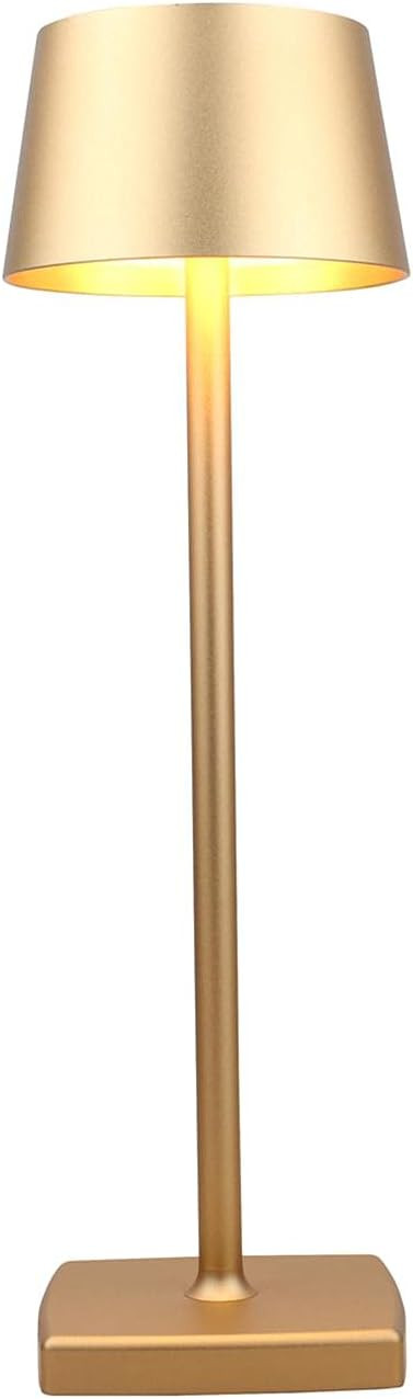 amhshkou Rechargeable led Cordless Desk Lamps,Aluminum, dimmable, Suitable for Indoor and Outdoor... | Amazon (US)