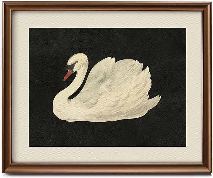 Framed Vintage Eclectic Canvas Wall Art Decor, Farmhouse Wall Prints for Bedroom Bathroom Office,... | Amazon (US)