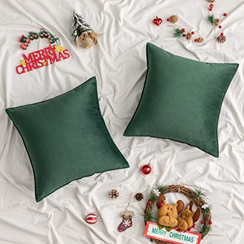 Woaboy Pack of 2 Decorative Velvet Throw Pillow Cover Soft Solid Square Cushion Covers Modern Sty... | Amazon (US)