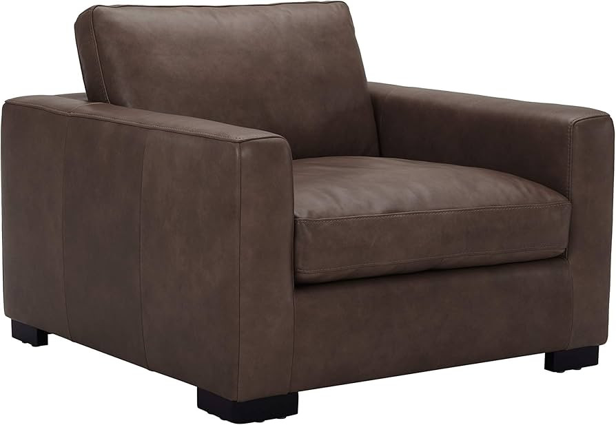 Amazon Brand - Stone & Beam Westview Extra-Deep Down-Filled Leather Accent Living room chair, 42.... | Amazon (US)