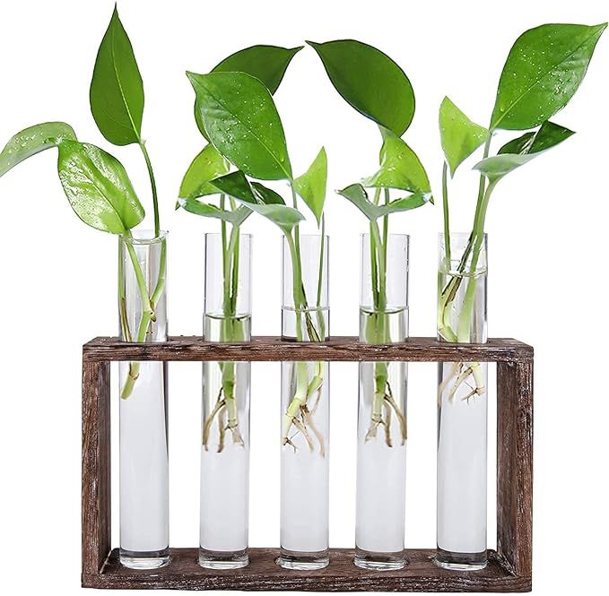 Jucoan Glass Planter Propagation Station, Wall Hanging Plant Terrarium with Wooden Stand, Glass T... | Amazon (US)