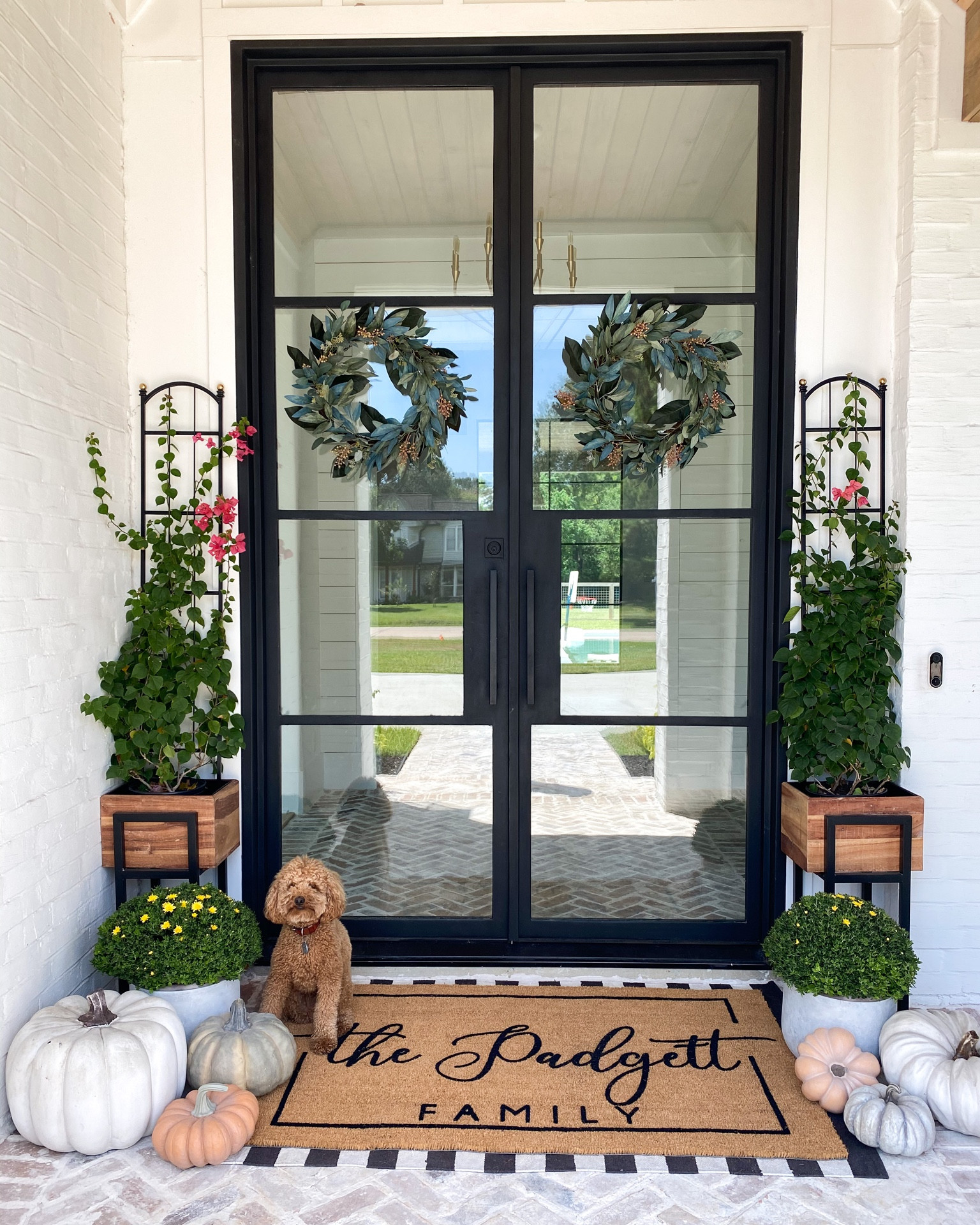 My favorite indoor/outdoor resin pumpkins are starting to come back in stock! I’ve been collecting these for years and they are so easy to wipe down and reuse year after year! 

Fall decor, Halloween decor, pumpkin, fall porch. Outdoor planters 


#LTKstyletip #LTKhome #LTKSeasonal