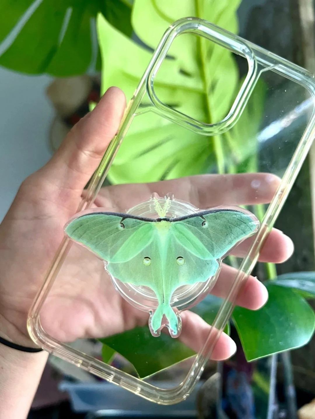 Luna Moth Phone Grip-rare Butterfly Phone Stand-monarch-swallowtail-nature Gifts Atlas Moth - Ets... | Etsy (US)