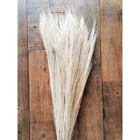 Broom Grass Off White | Grasses Foliage Daisyodwyersflorist | Etsy (UK)