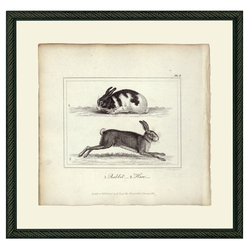 Smith & Co. | One Kings Lane