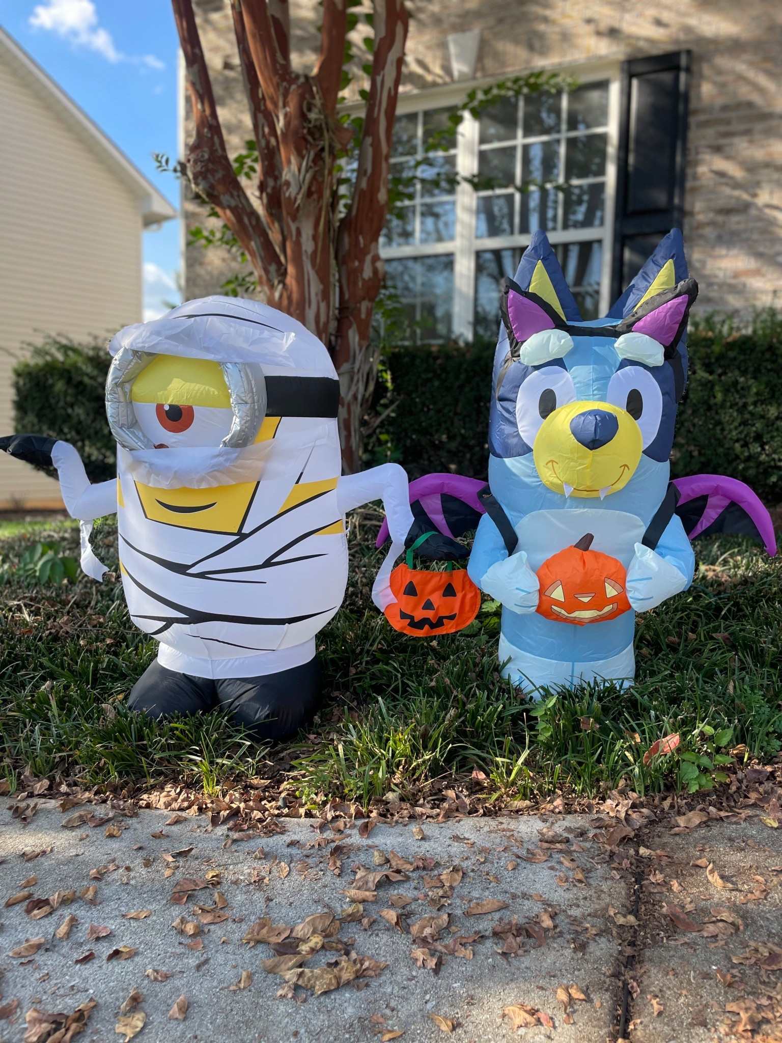 Halloween | seasonal | bluey | minion | kids | fall | outside | blowups #LTKHalloween #LTKFindsUnder50

#LTKSeasonal