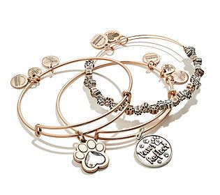 Alex and Ani Paws & Reflect Charm Bangles, S et of 3 | QVC