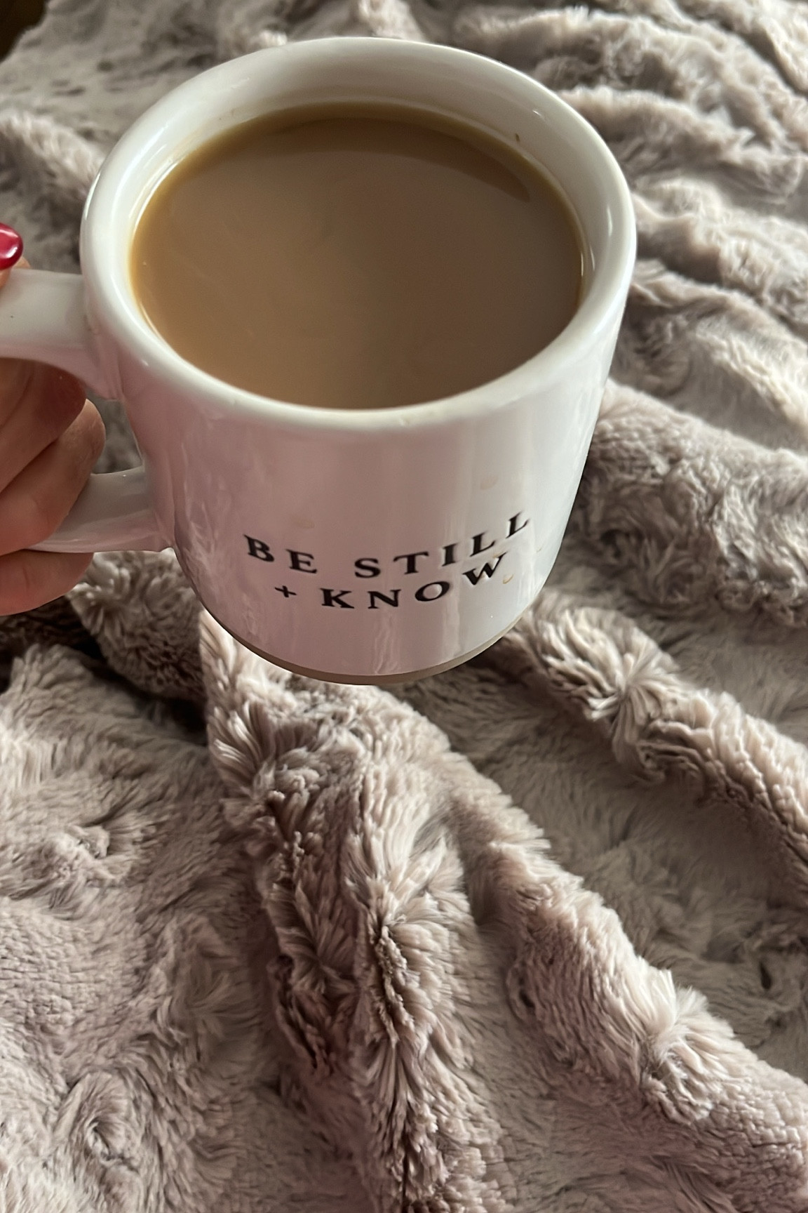 the coziest blanket + one of my fav mugs from sweet water decor ☕️ ❄️ 

#LTKSeasonal #LTKHome #LTKGiftGuide