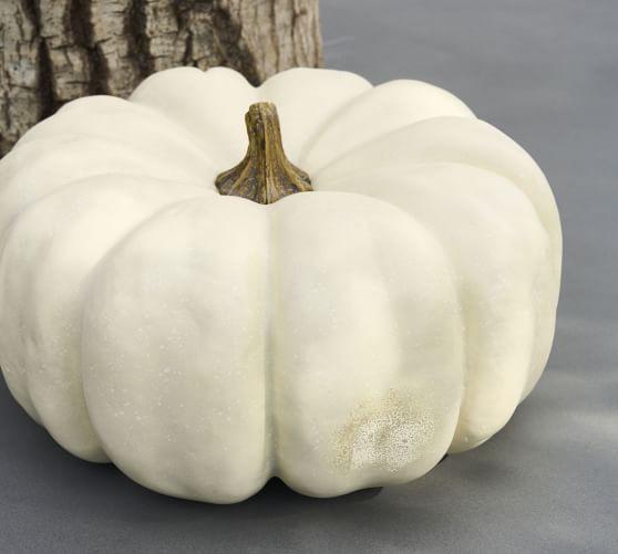 Faux Pumpkins & Gourds | Pottery Barn (US)