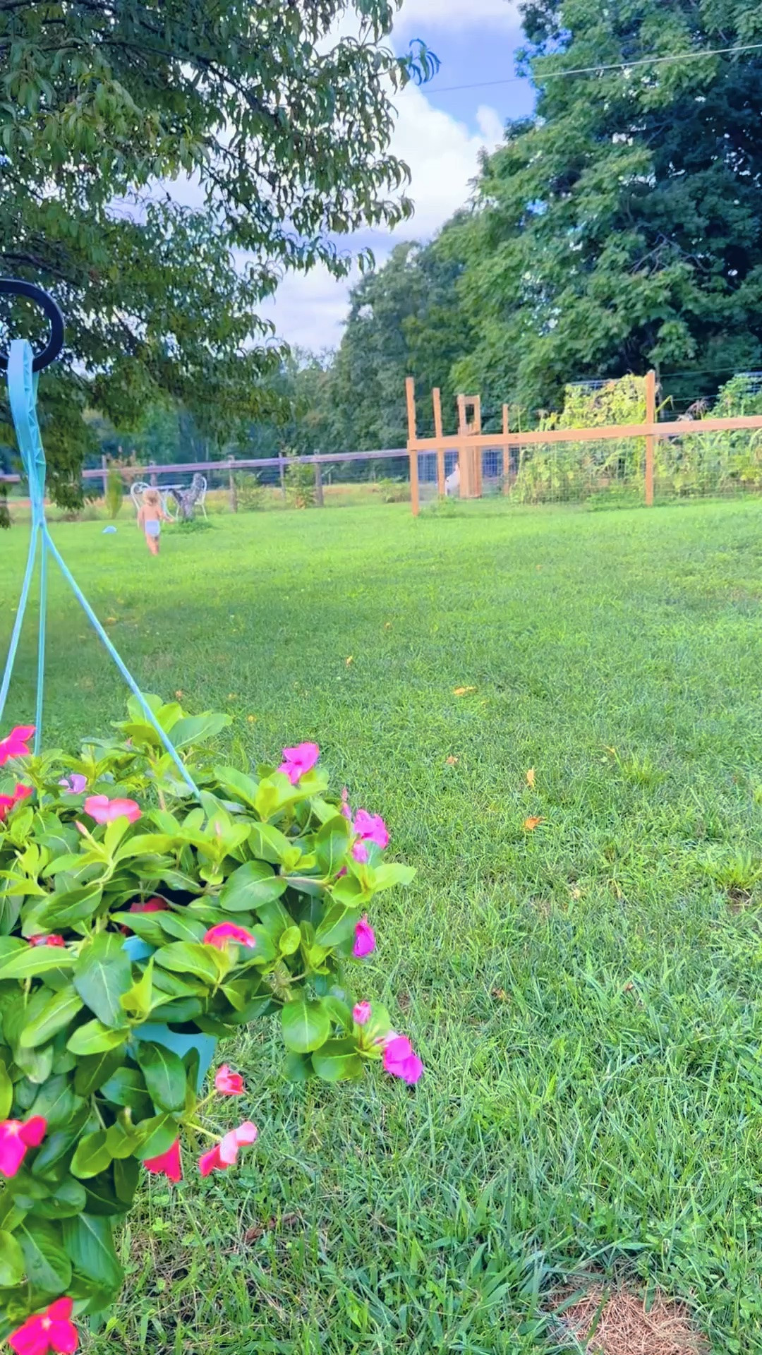 the country backyard view of my absolute dreams 👶🏼🌾✨🪴💐