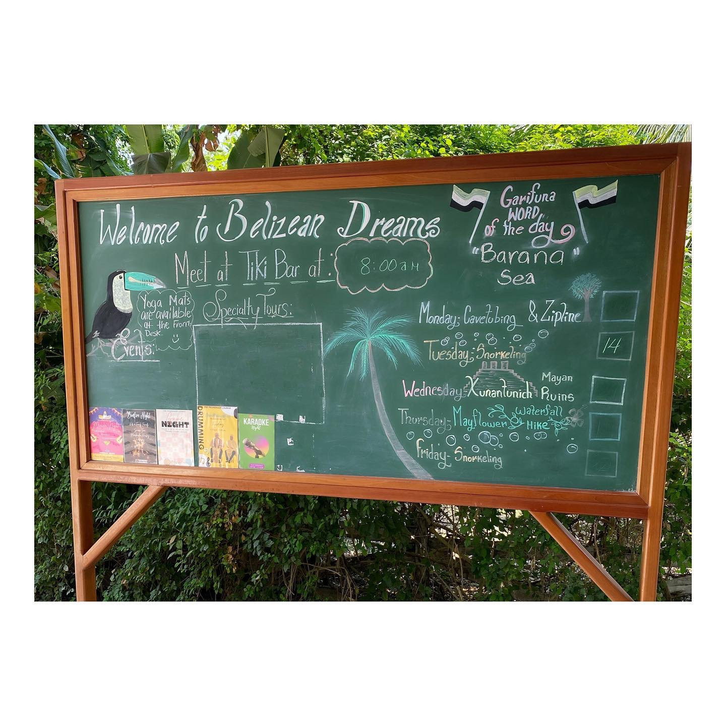 There’s a lot of optimism in changing scenery…so here I am, enjoying the view with the best food & drinks in Belize🇧🇿
.
The Belizean Dreams Resort welcomed me with open arms! My favorite drinks were the infamous “Mosquito Bite” & Rum Runner🍹
.
For food, I LOVED the Traditional Belizean Breakfast, Avocado Chicken Club, and Tacos (buffet style!)🍽️


#LTKTravel