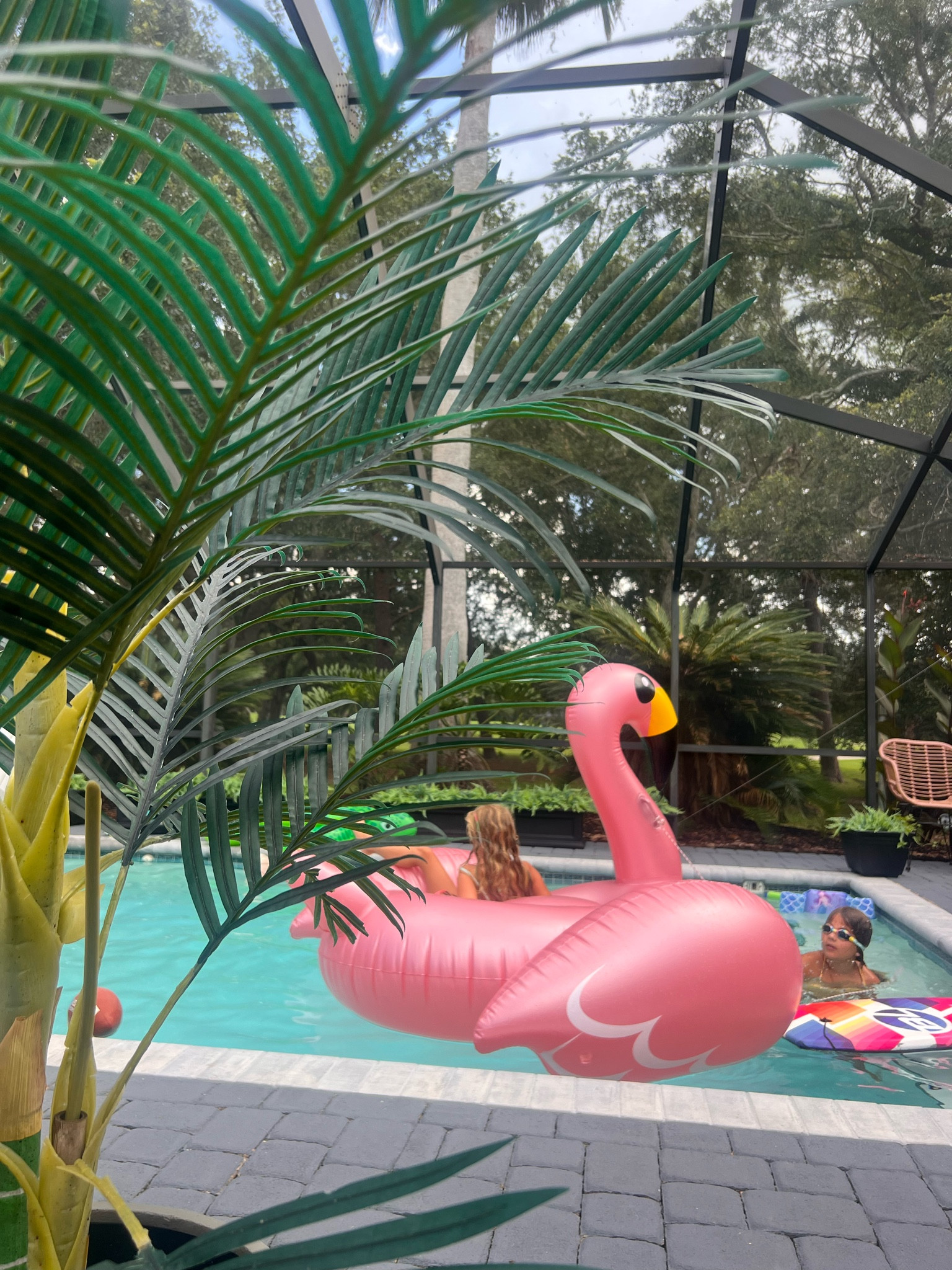 Faux cane palm tree from Amazon
Flamingo pool float
Amazon deals 

#LTKSummerSales #LTKParties #LTKSwim
