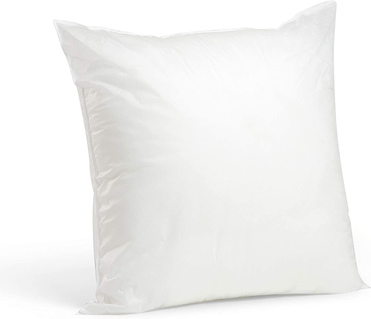 Foamily Throw Pillows Insert 20 x 20 Inches - Bed and Couch Decorative Pillow - Made in USA | Amazon (US)