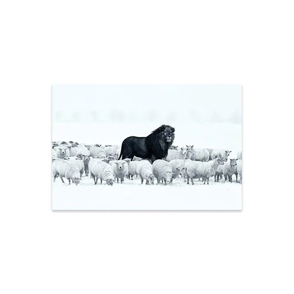 Lion Among Sheep On Plastic / Acrylic by Ruvim Noga Print | Wayfair North America