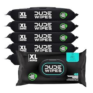 DUDE Wipes - Flushable Wipes - 48 Count (Pack of 6), 288 Wipes - Mint Chill Extra-Large Adult Wet... | Amazon (US)