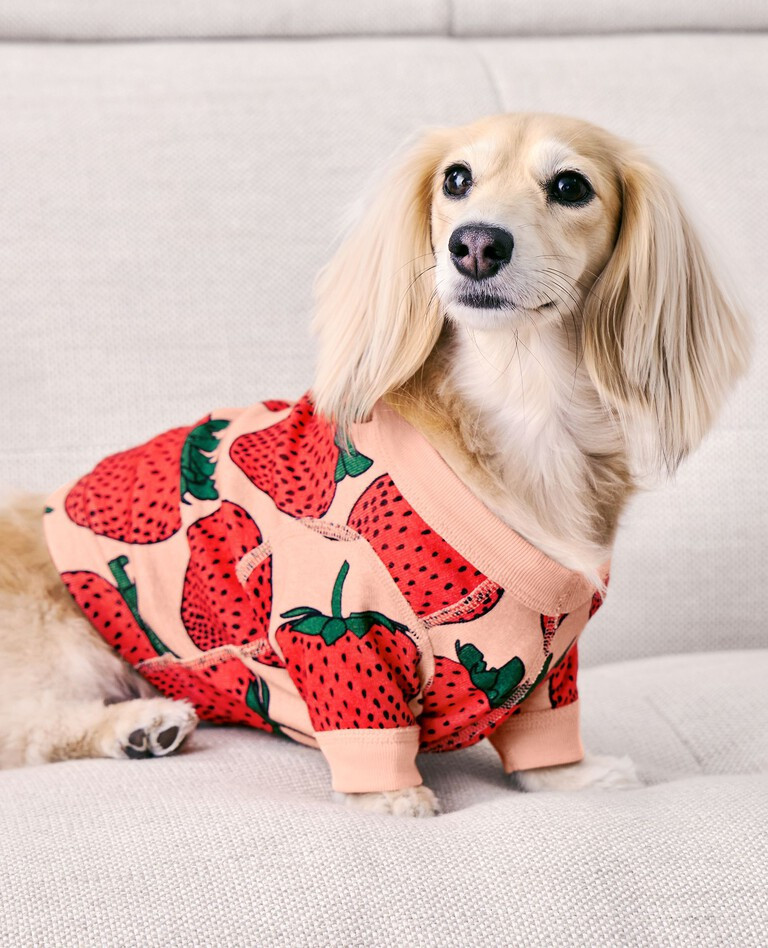 BAGGU Dog Pajamas | Hanna Andersson